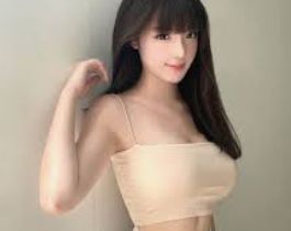 资料维护项目